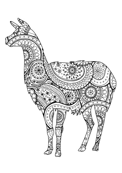 Llama Shape With Patterns Llama Coloring Pages For Adults