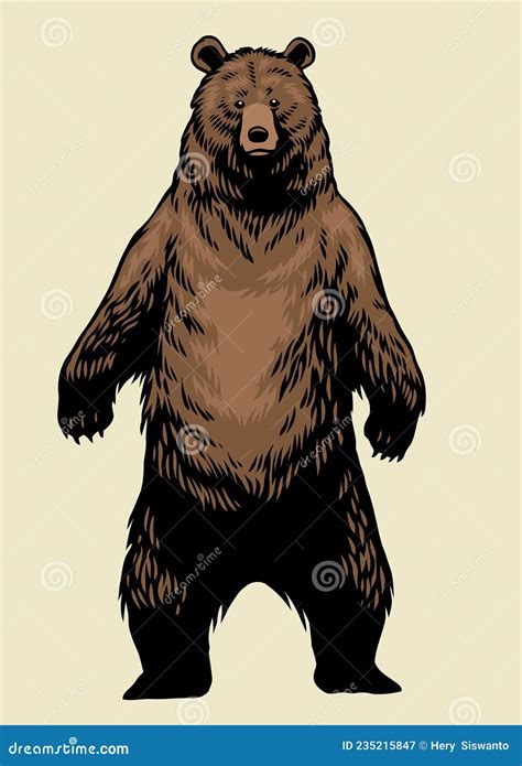 Mano Dibujada De Un Oso Pardo Pardo Pardo De Pie Ilustración Del Vector