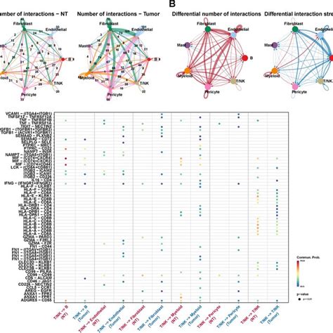 The Crosstalk Between Tumor Cells And Other Cells A Heatmap Shows The