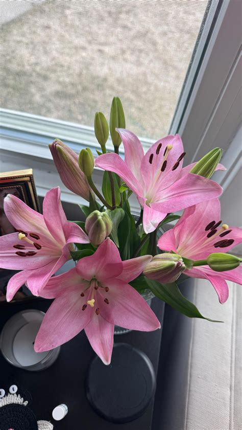 claire horton | playing dress up in alyssa’s closet | Instagram