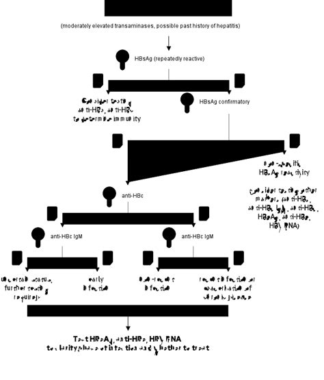 Roche Interactive Testing Algorithm