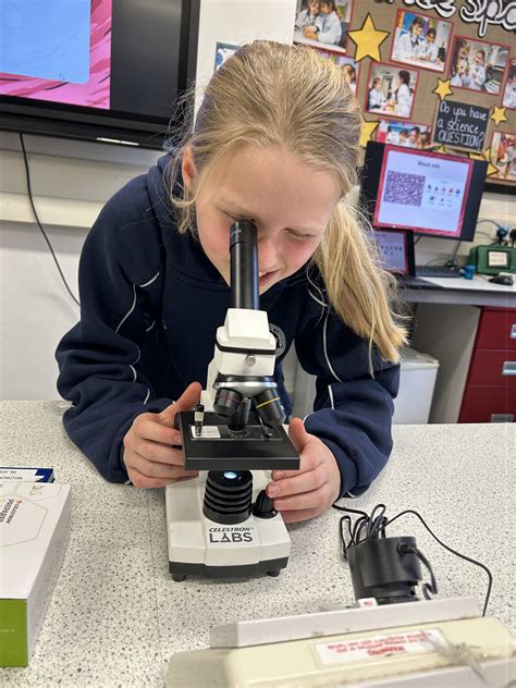 Blood Cells under the Microscope | Queen's College Telegram