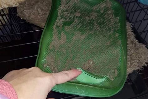 Mum Suffers Horror Burns As Hot Water Bottle Explodes Next To Her In Bed The Mirror