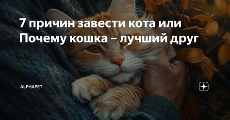 7 причин завести кота или Почему кошка – лучший друг | AlphaPet | Дзен
