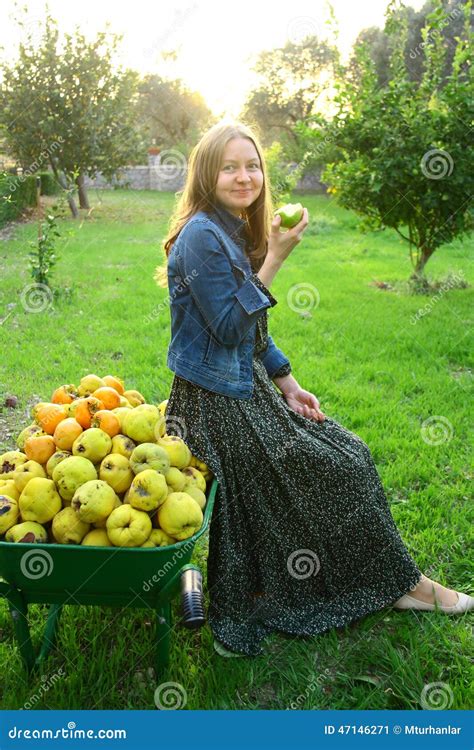 Beautiful Girl Collecting Fresh Fruit Stock Image Image Of Health