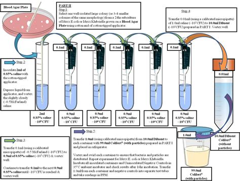 Accelerated Detection Of Microbes Utilizing An Organic Particle