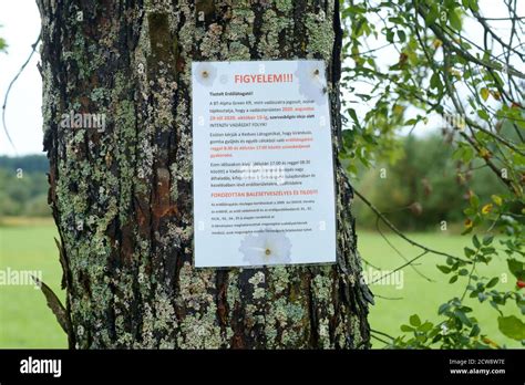 Warning Notice Pinned To Tree Alerting People To The Dangers Of Walking