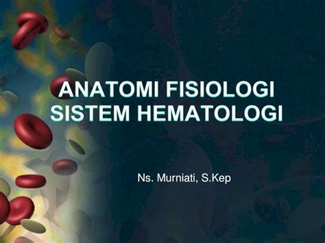 PDF Anatomi Fisiologi Sistem Hematologi DOKUMEN TIPS