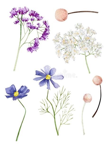 Violet Floral Watercolor Set Illustration For Wedding Card Hand Drawn