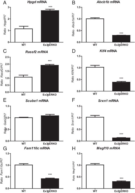 Confirmation Of Genes Showing Altered Expression After PMSG HCG