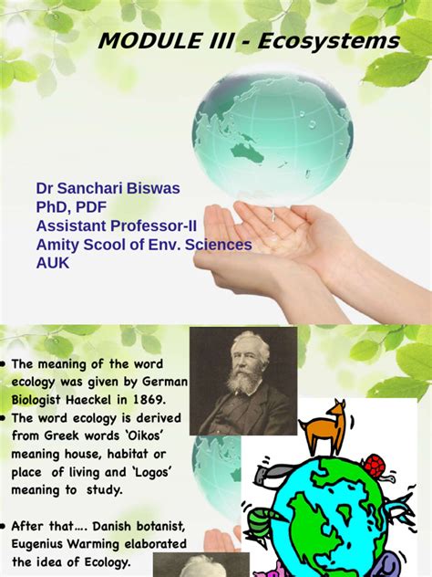 Module_III-Ecosystem Notes | PDF | Ecosystem | Food Web