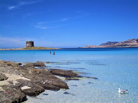 La Pelosa Beach Tours - Book Now | Expedia