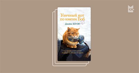 "Кот по имени Боб" by Джеймс Боуэн