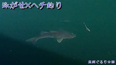 ヘチ釣り 泳がせ×ヘチ釣りの可能性 黒鯛 ヘチ釣り Youtube