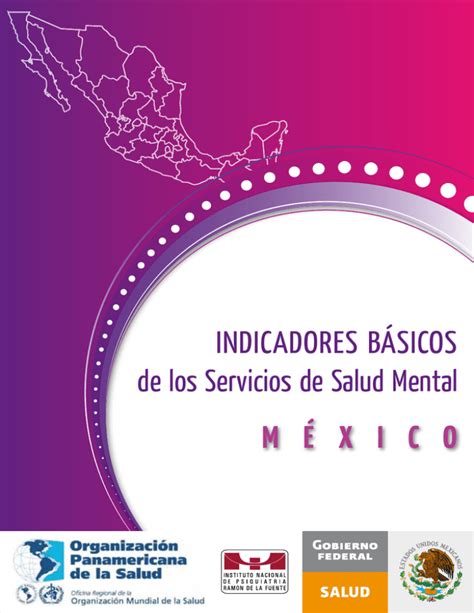 Indicadores B Sicos De Los Servicios De Salud