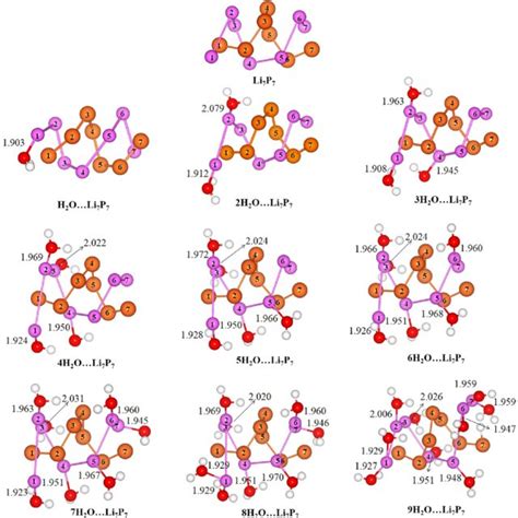 Optimized Geometries Of Microhydrated Double Helical Structures Of Li 7