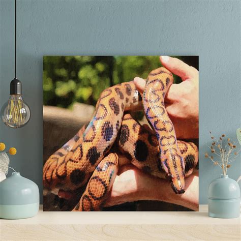 Latitude Run® Brown And Black Snake On Persons Hand Wrapped Canvas