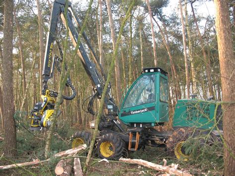 Bomen Kappen Voor Een Beter Bos Natuurpunt De Torenvalk