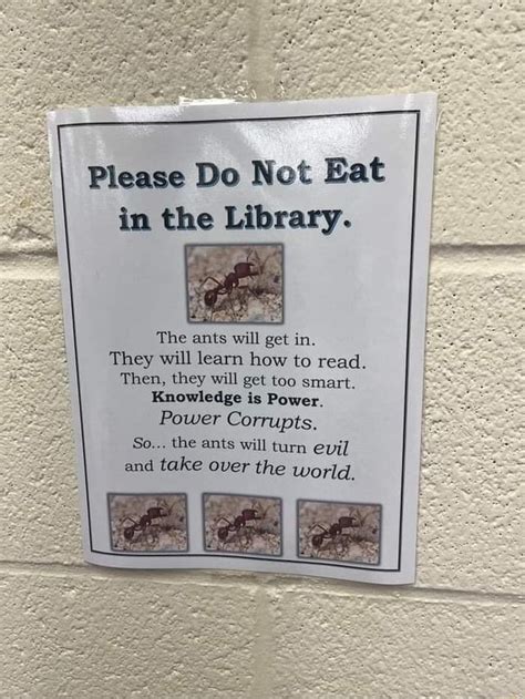 Please Do Not Eat In The Library The Ants Will Get In They Will Learn