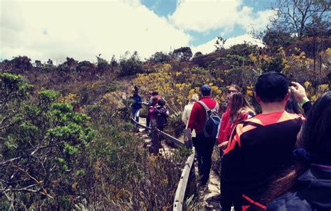 Dive Into History And Culture Guatavita Lake Salt Cathedral Tour