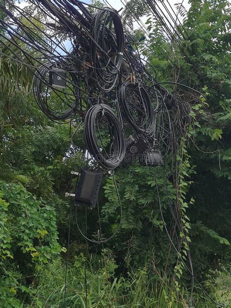 Huge Tangled Electrical Wires On Poles Stock Image Image Of Huge