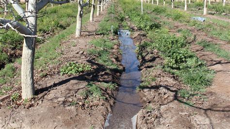 Gestionar El Agua De Riego Para Aumentar La Eficiencia Y La