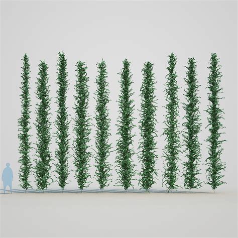 Climbing Plants 3d Model 39 Max Unknown Obj Fbx Free3d