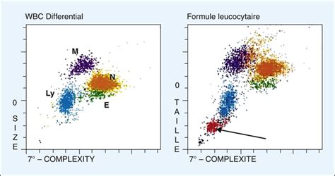 Mise à jour 60 imagen la formule leucocytaire fr thptnganamst edu vn