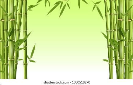 Bamboo Frame Blank Space Green Bamboo Stock Vector Royalty Free