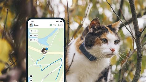 GPS Cat Tracker & Cat Collar with Activity Monitoring | Tractive