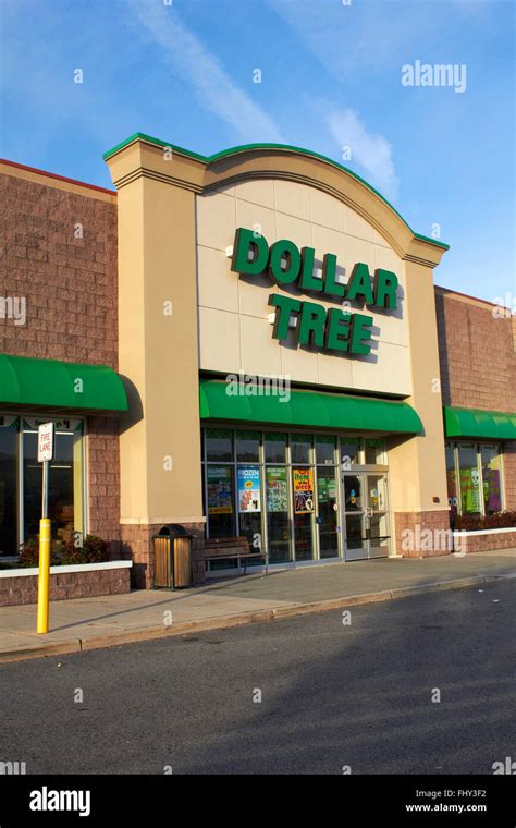 Dollar Tree Store Logo