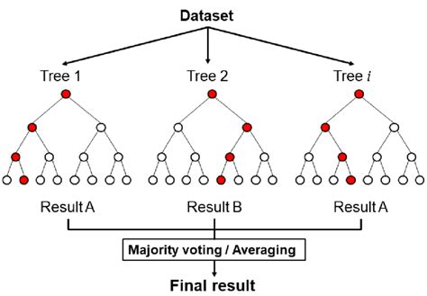 Schematic Diagram Of The Random Forest Classifier Download Scientific Diagram