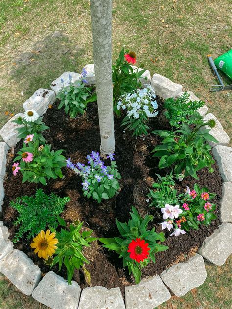 Flower Garden Designs For Full Sun