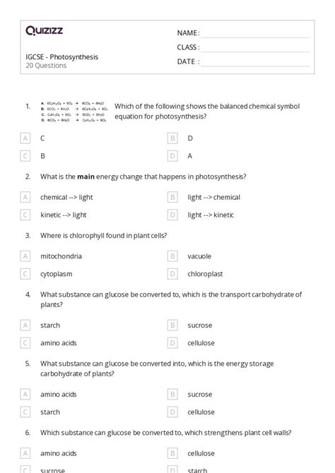 Photosynthesis Worksheets On Quizizz Free Printable