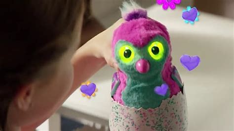 Spin Master Hatchimal Draggle Blue Green Toys And Games