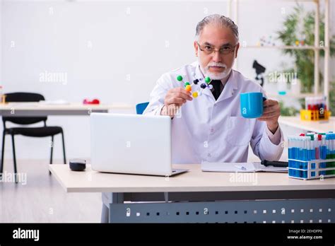 Senior male scientist examining glass hi-res stock photography and ...