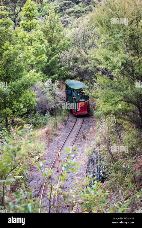 Driving Creek Railway And Pottery Coromandel New Zealand Stock Photo