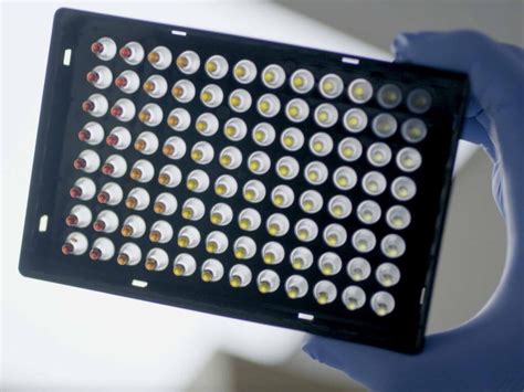 IsoFast Hot Start Bst Polymerase Colour Mix PCR Biosystems