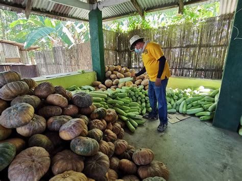 Los Baños Cabuyao Baguio Residents Will Receive Veggie Seeds