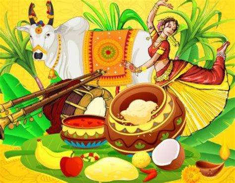 pongal       days long harvest festival