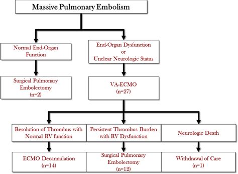 Triage And Optimization A New Paradigm In The Treatment Of Massive