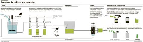 Aprende Como Construir Un Biorreactor Para Producir Biocombustible A