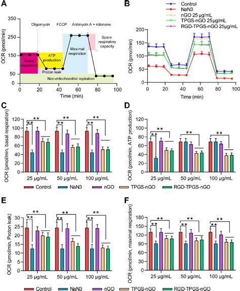 Effect Of Rgd Tpgs Ngo On Ocr In Mcf Adr Cells A Schematic Of Ocr