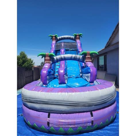 Tropical Palm Bounce House And Single Slide With Pool Phatty Mattys