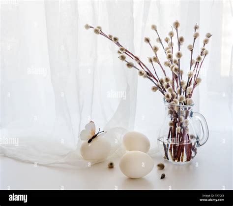 Easter Greeting Card Fluffy Pussy Willow Branches In A Transparent