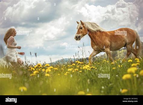 Eine Junge Blonde Frau Und Ihr Haflinger Pferd Genie En Ihre Zeit Im Fr Hling Drau En