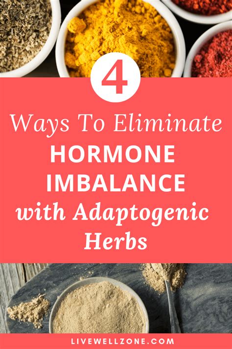 Curious About The Benefits Of Adaptogens For Hormones This Post Tells All About What Adaptogens