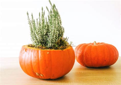 DIY Herbstdekoration mit Kürbis Bonbontüte