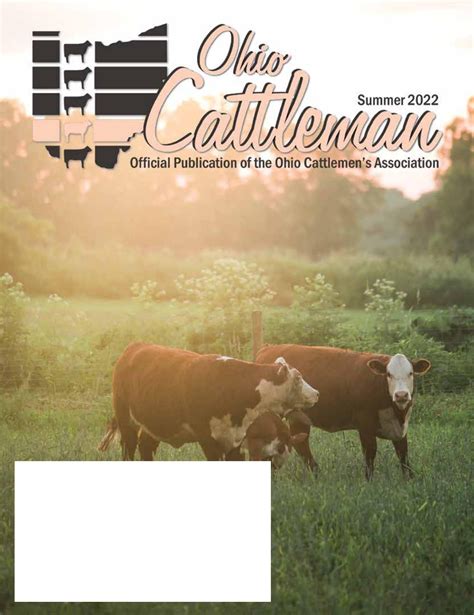 The Hidden Truth About The June 12th Cattlemen Rd Police Response Image 5