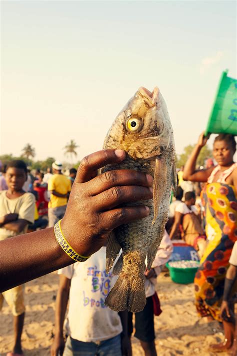 The Dark Secret Of Lake Malawi Trading Sex For Fish Women Across Frontiers Magazine